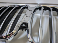 Genuine Kidney Grill BMW X5 G05 2019 - 2021 Used