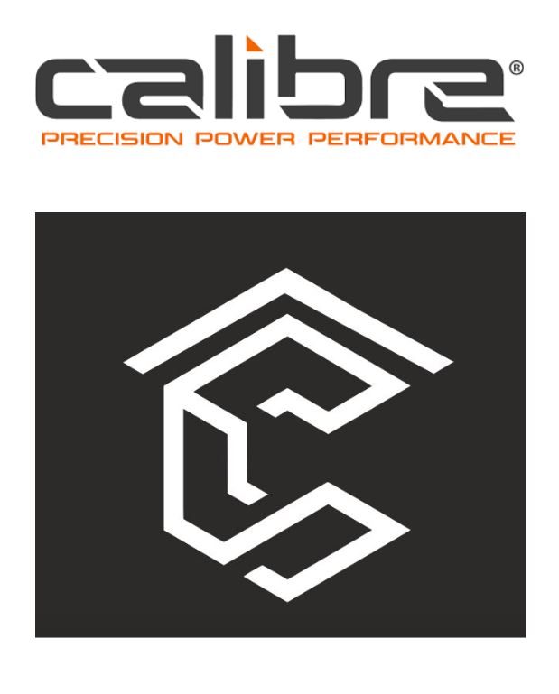 Calibre 6PK2290 Serpentine Belt Mazda Ford Audi Holden New